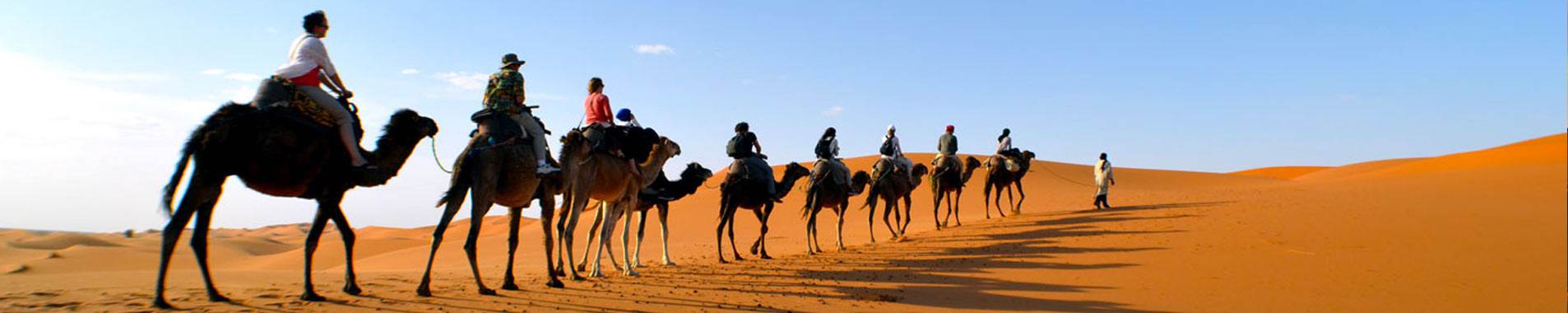Group of tourist in a private camel trekking through the Sahara desert of Morocco
